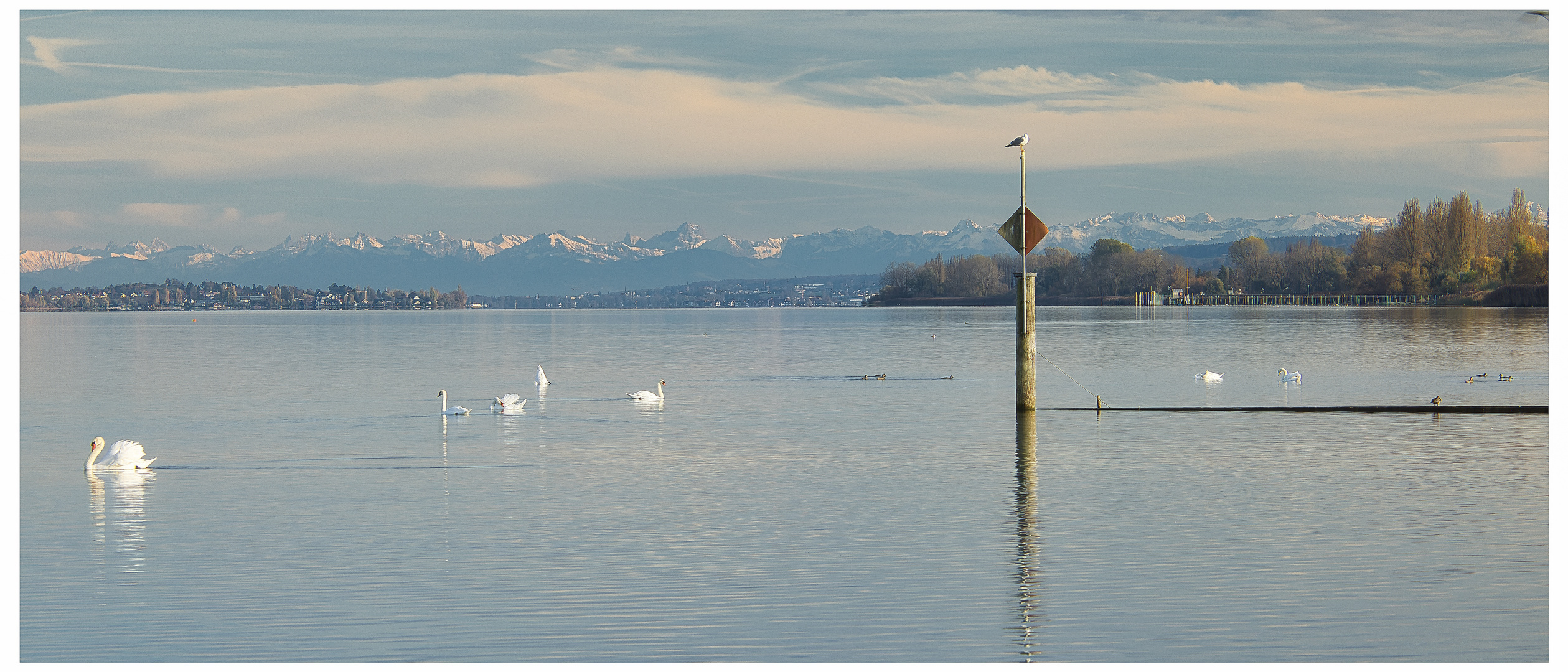 Föhn im November am Bodensee