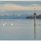 Föhn im November am Bodensee