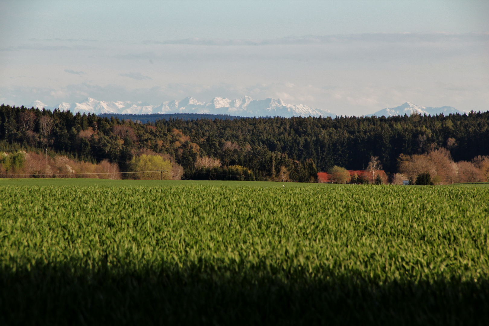 Föhning Bavaria