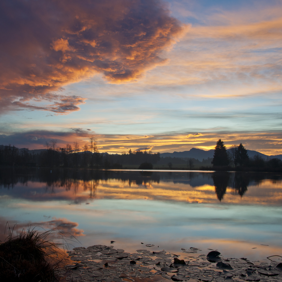 Föhnmorgen am Egelsee