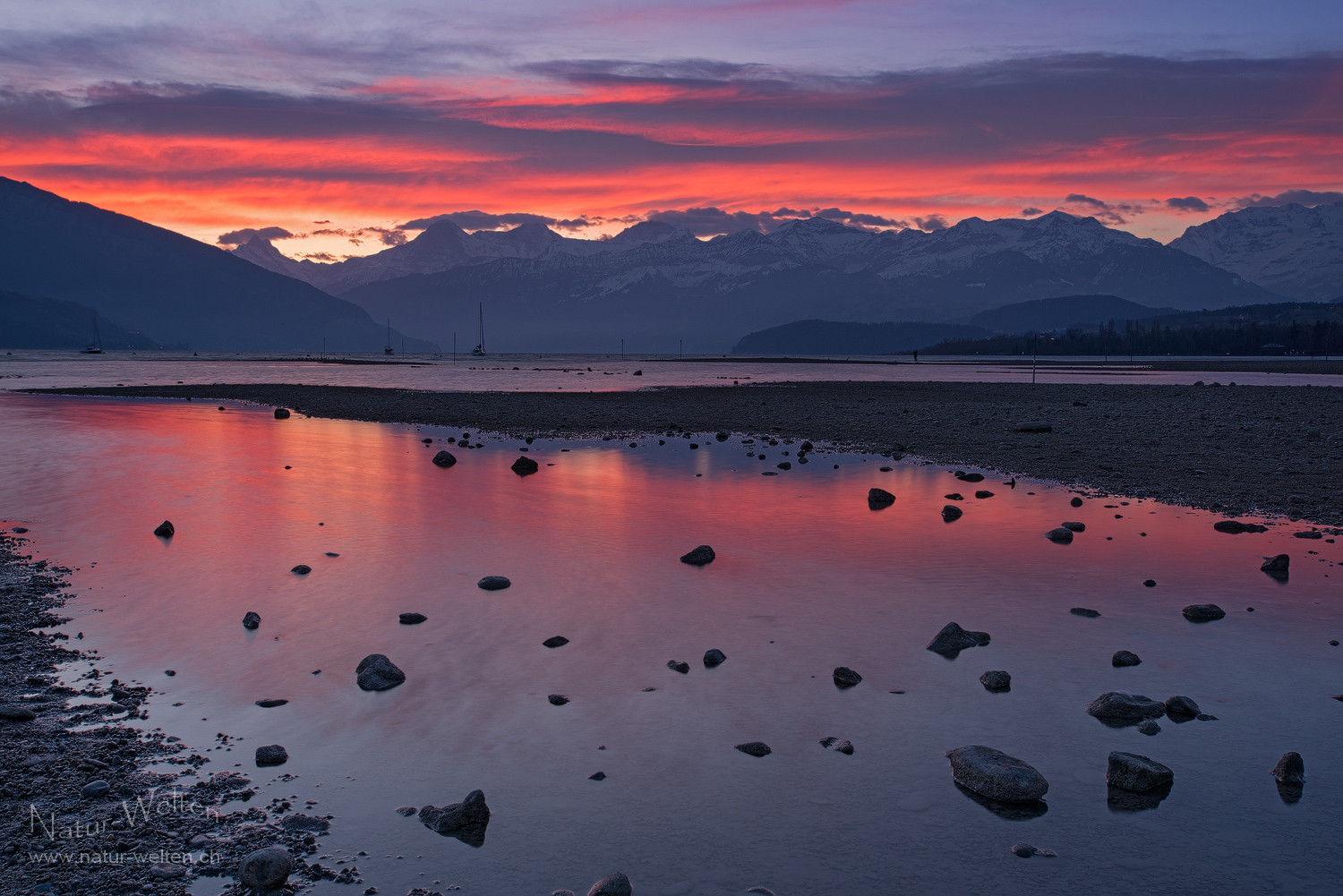 Föhnmorgen am Thunersee