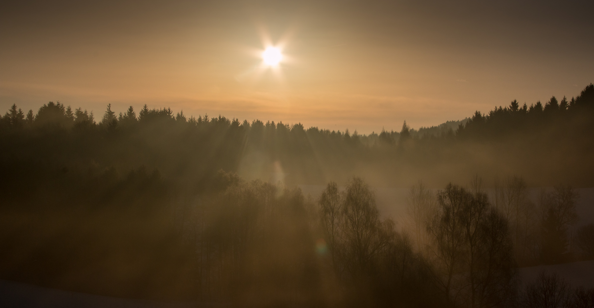 Föhnsonne im Nebel