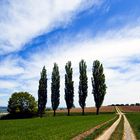 Föhnstimmung am Bodensee im Frühling