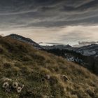 Föhnstimmung in den Alpen