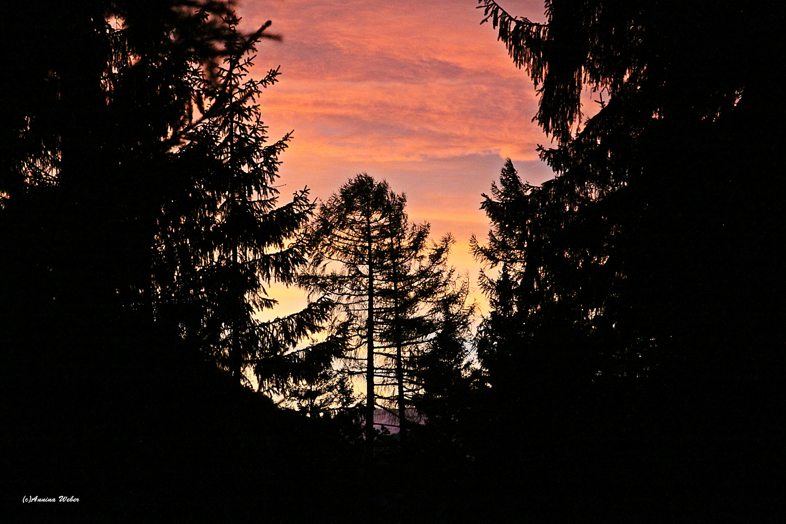 Föhnstimmung Richtung Gonzen