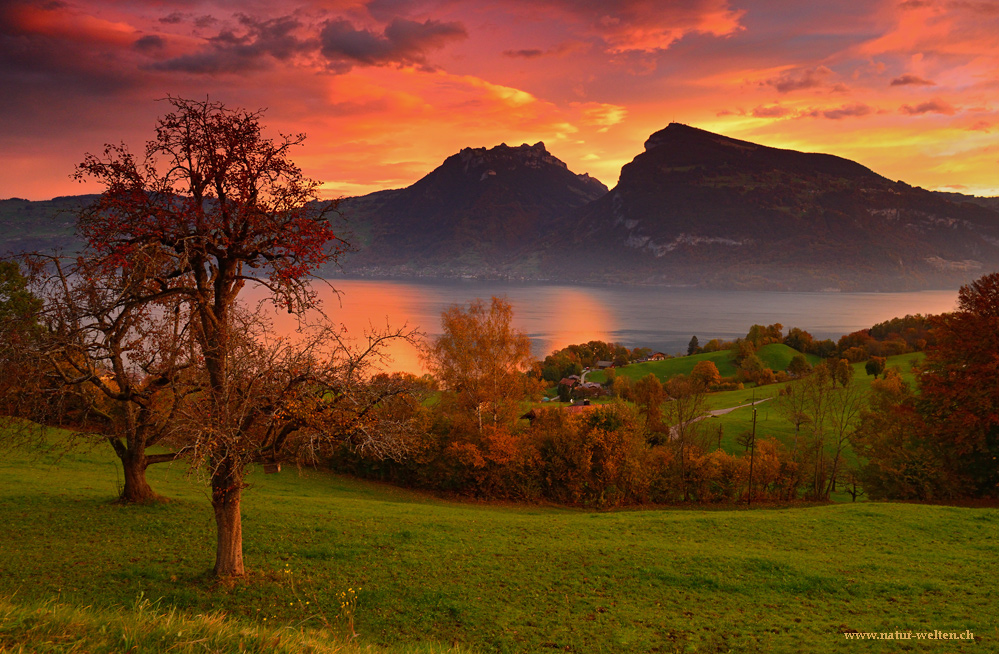 Föhnstimmung über dem Niederhorn