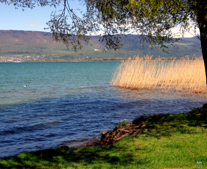 Föhnsturm am Neuenburger See