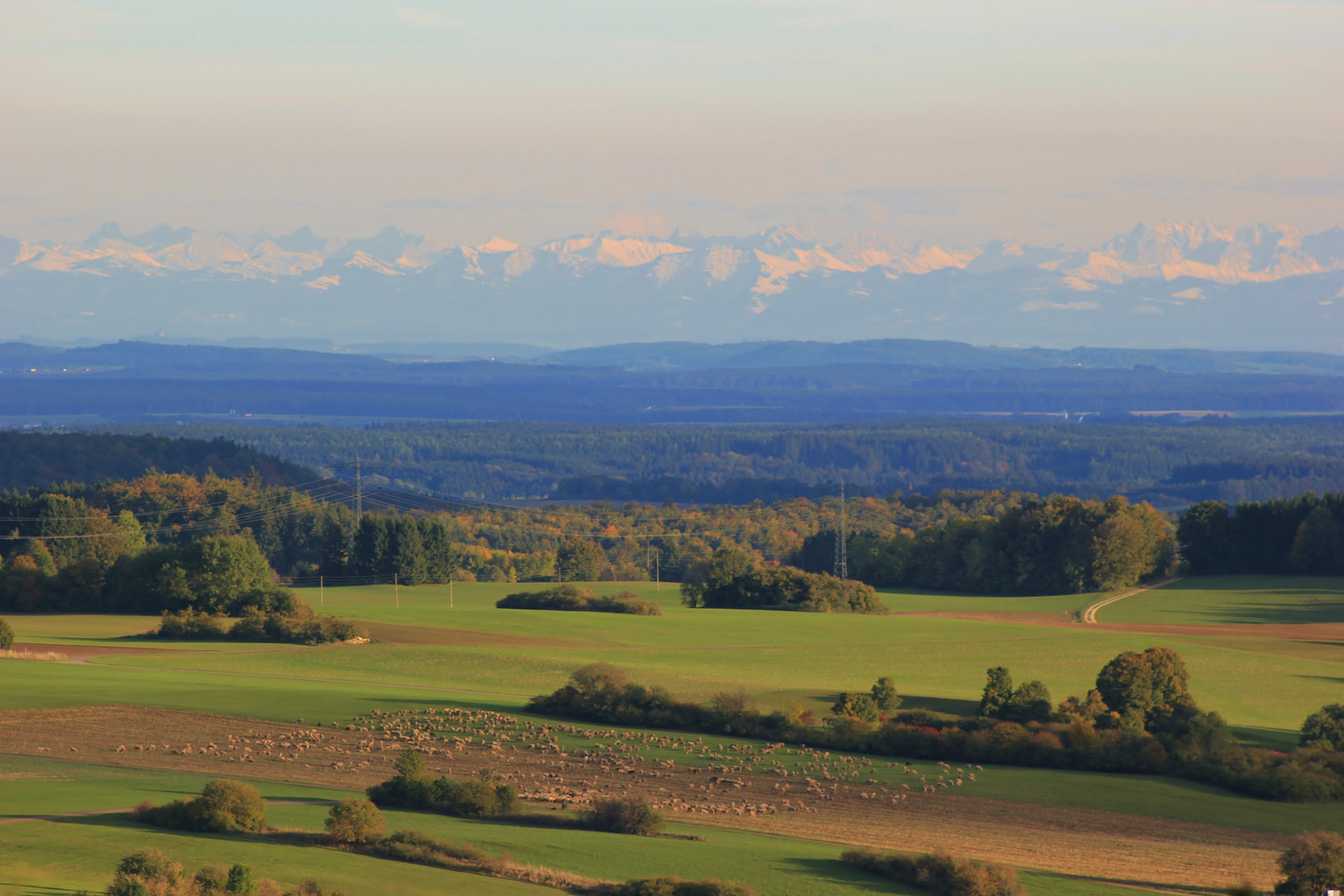 Föhnwetterlage