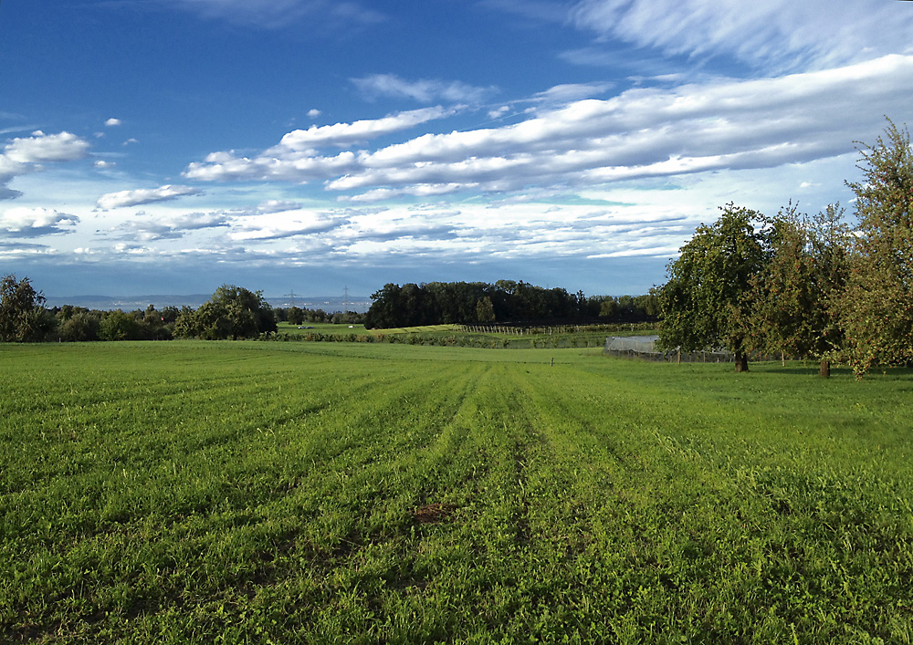 Föhnwolken über dem Bodensee