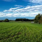 Föhnwolken über dem Bodensee