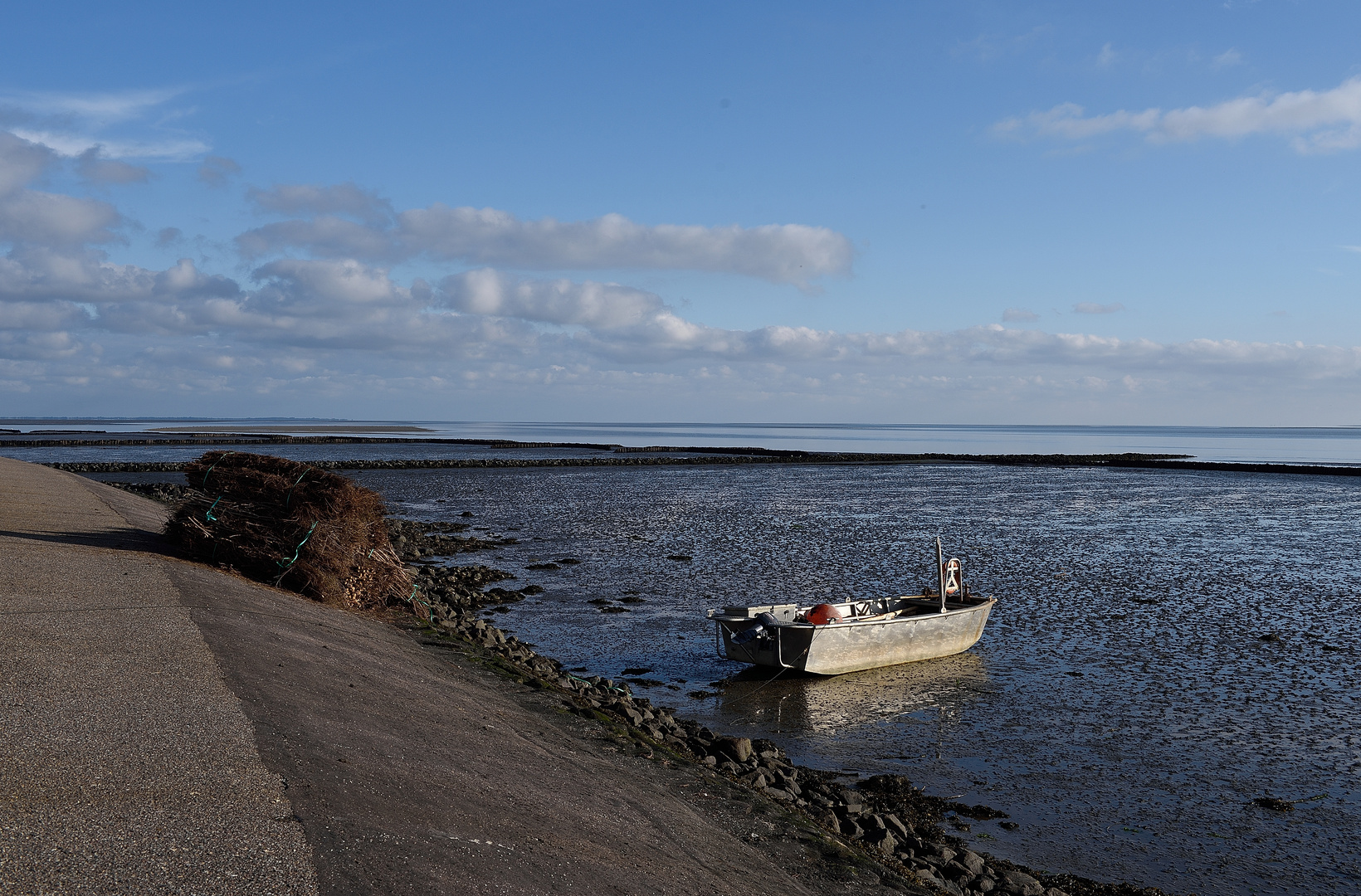 Föhr