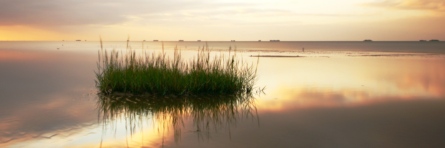 Föhr