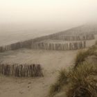 Föhr Dünen Nebel