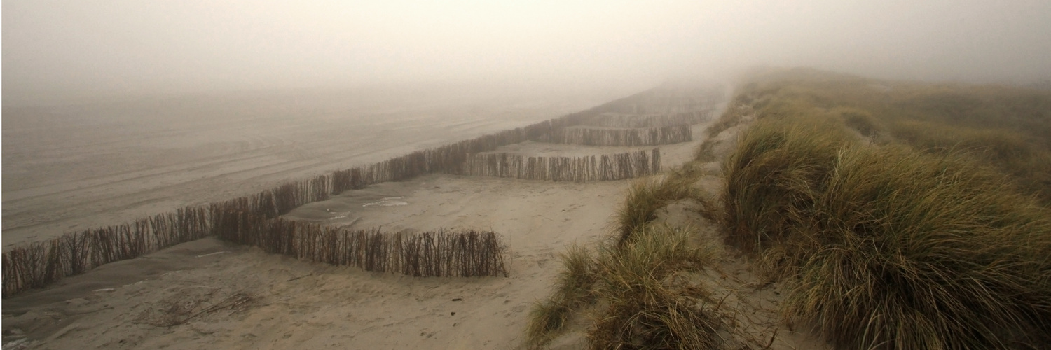 Föhr Dünen Nebel