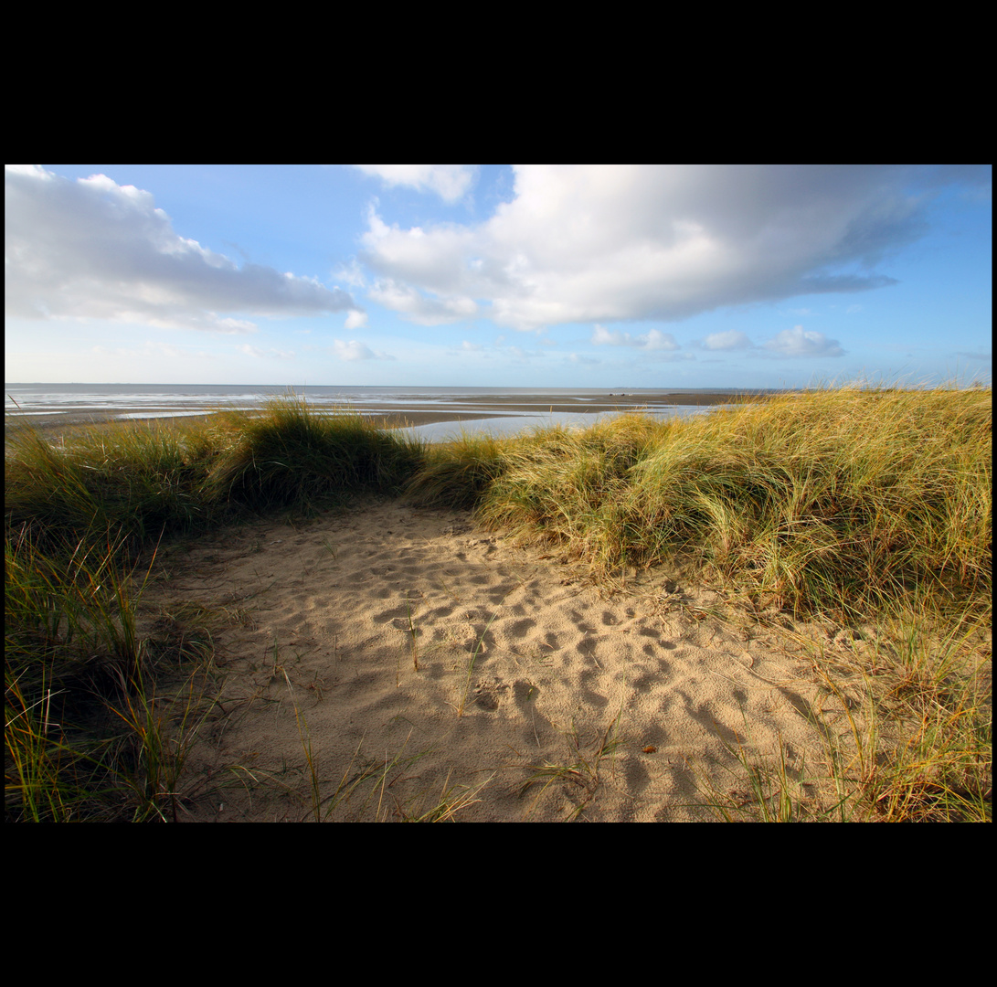 Föhr...