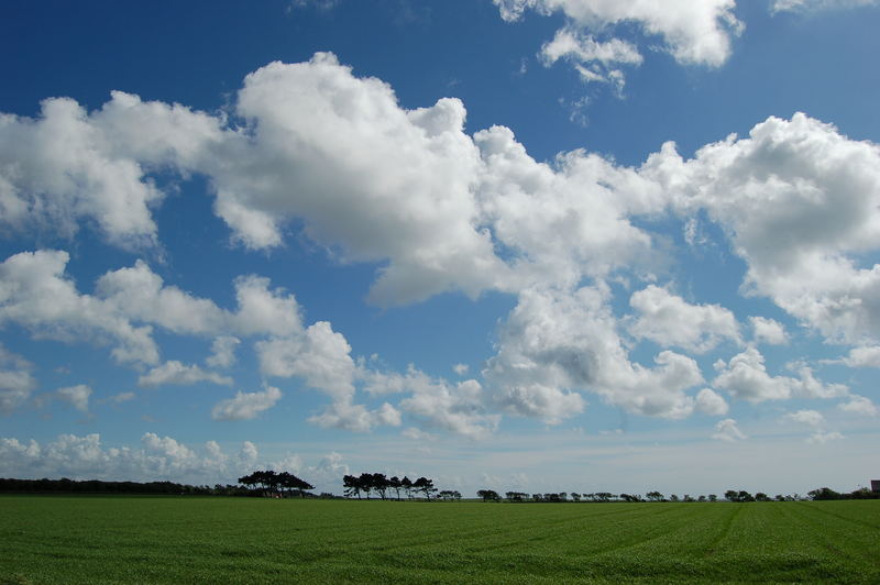 Föhr im Mai (2)