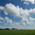 Föhr im Mai (2)