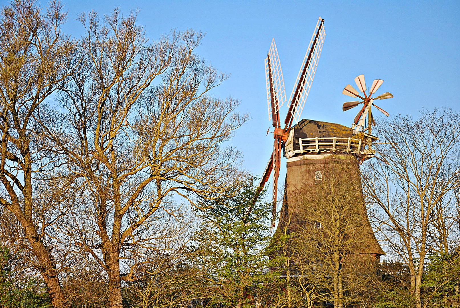 Föhr-Impressionen... 1