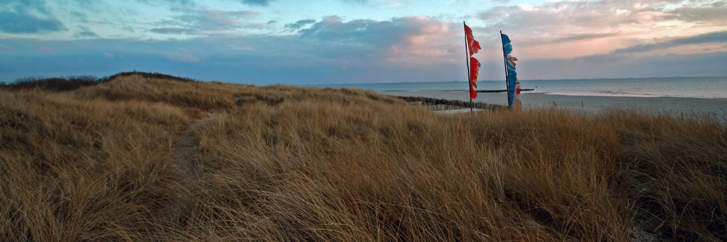 Föhr Nieblum Dünen