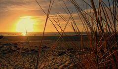 FÖHR - Nordfriesischen Inseln -