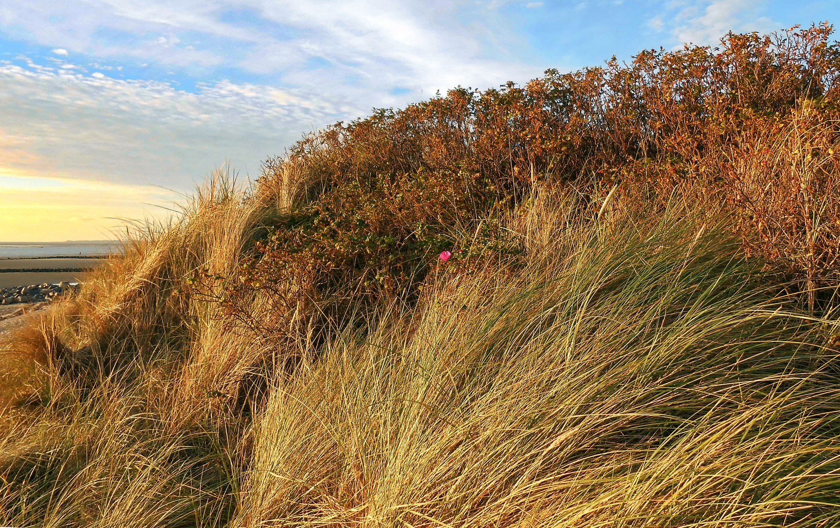 FÖHR - Nordfriesischen Inseln -