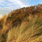 FÖHR - Nordfriesischen Inseln -