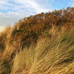 FÖHR - Nordfriesischen Inseln -