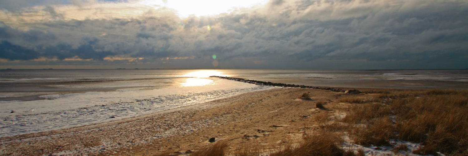 Föhr Strand Dünen