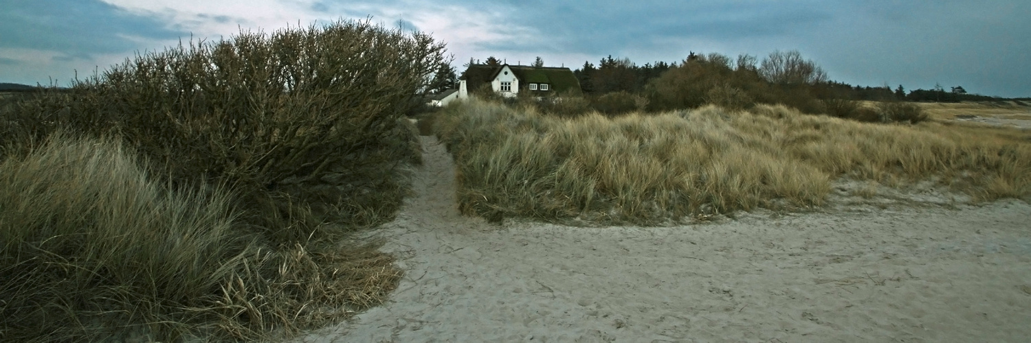 Föhr Strand Haus