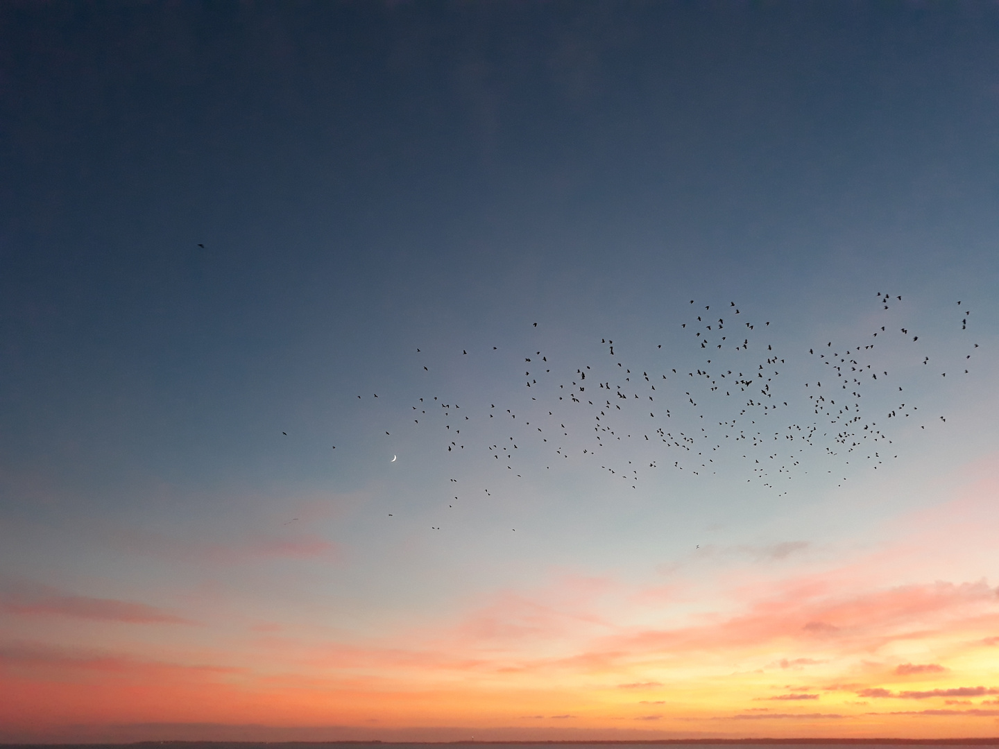 Föhr sunset