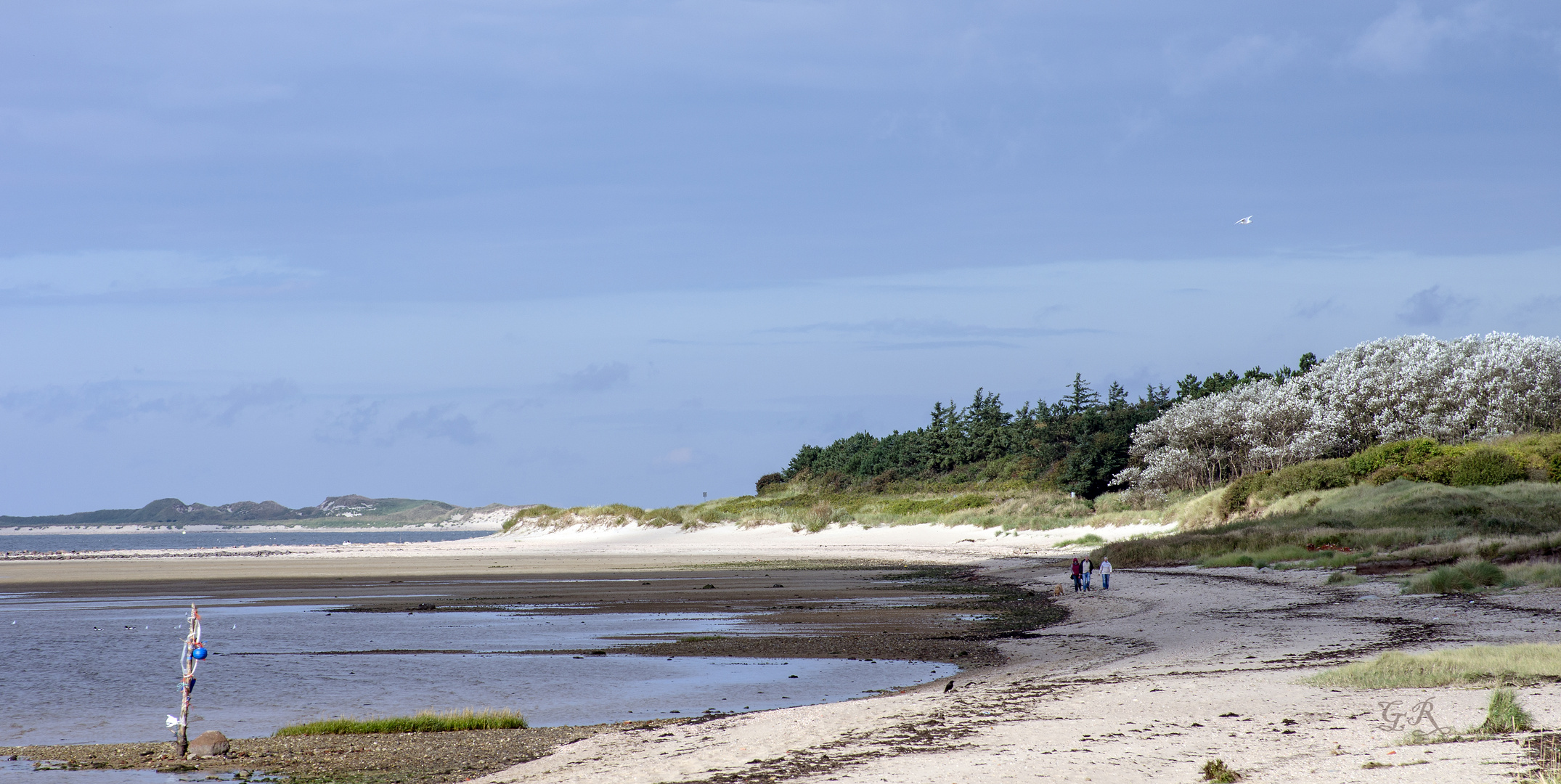 Föhrer Strand