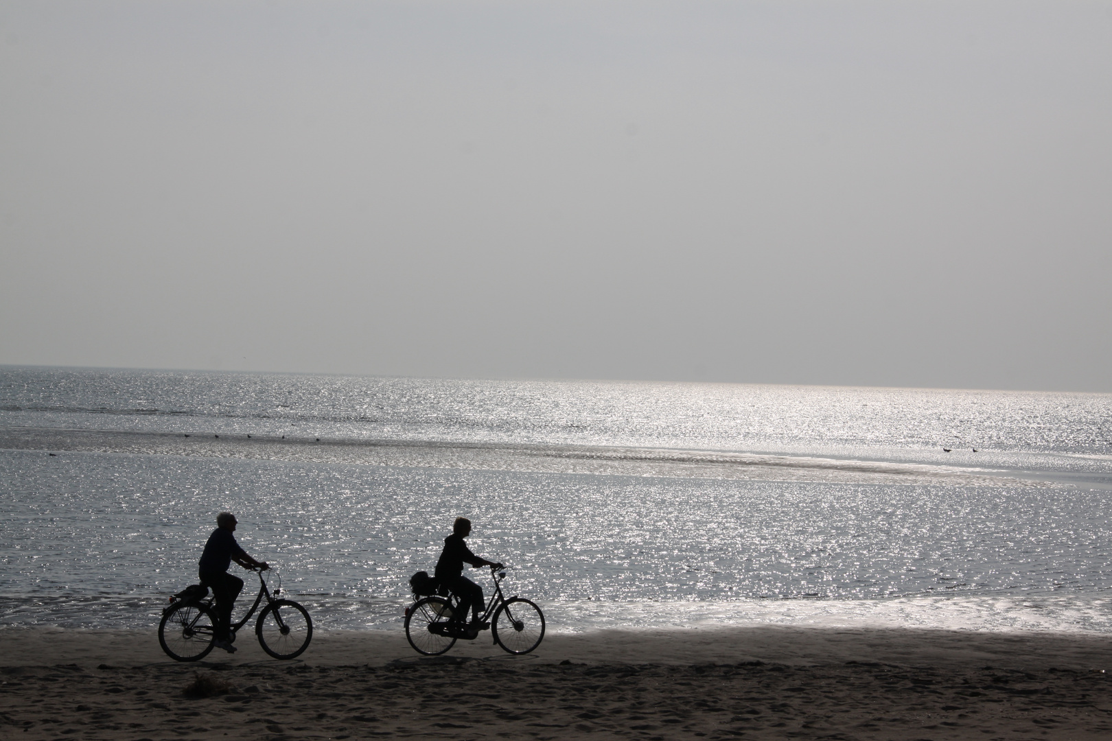 Föhrradtour am Watt