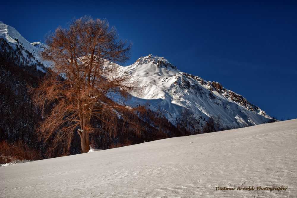 Föllakopf (Südtirol)