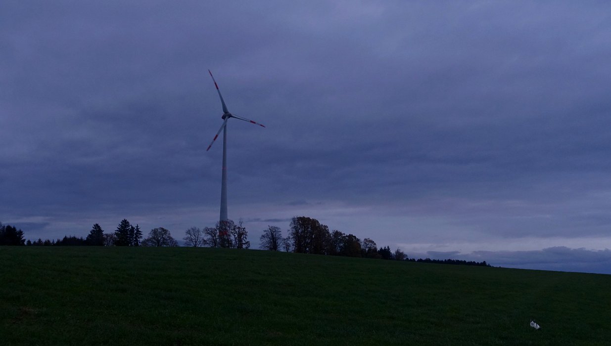 Fönen bis das Jammern einsetzt