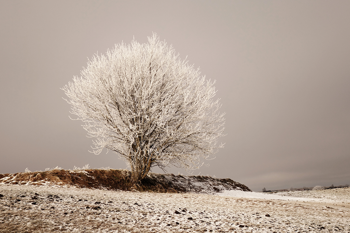 Fönfrost