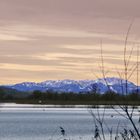 FÖNSTIMMUNG AM AMMERSEE