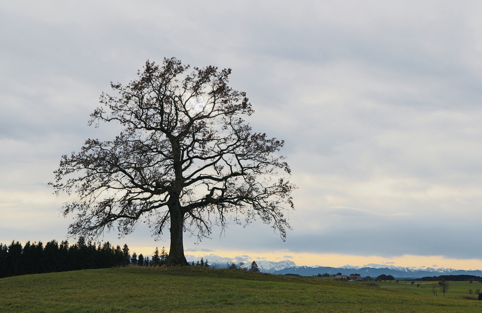 Fönstimmung im November