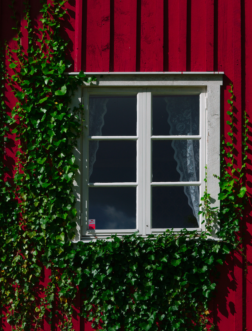 Fönstret åt gården