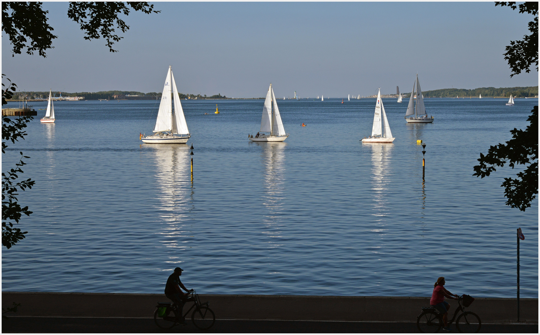 Fördeblick