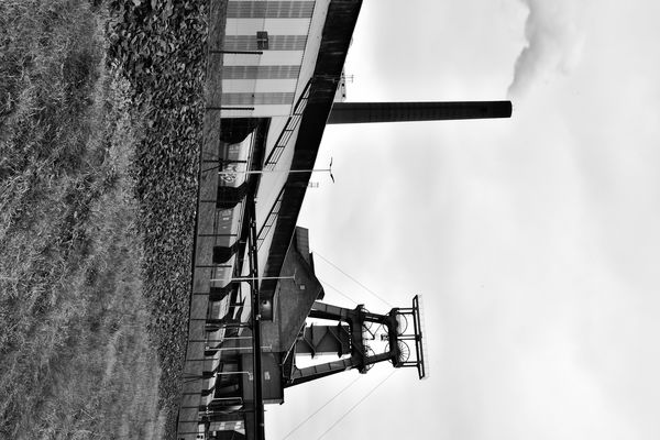 Förderanlage & Verarbeitung