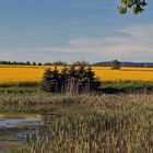 Förkelsteich bei Reinholdshain  rechte Seite des Panoramas