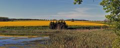 Förkelsteich bei Reinholdshain  rechte Seite des Panoramas