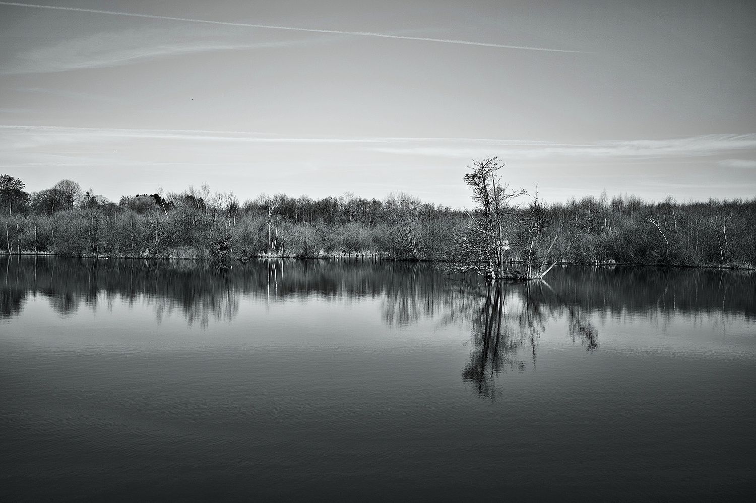 Förstchenteich in der Wahner Heide