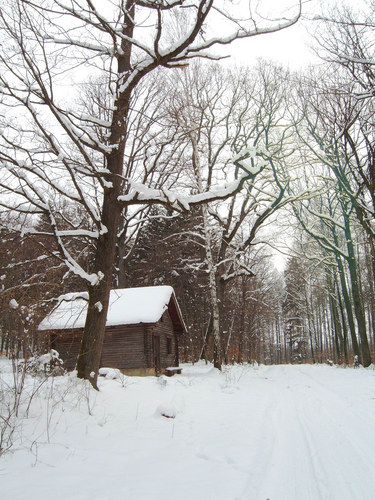 Försterhütte