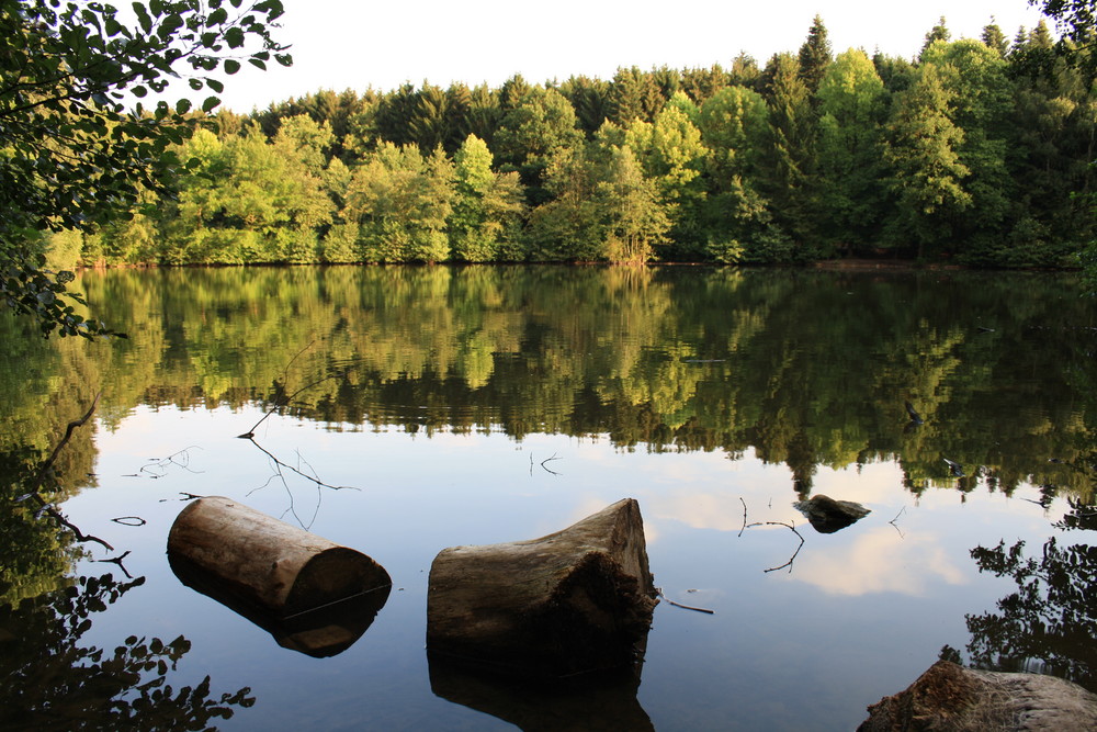 ..Försterteich..