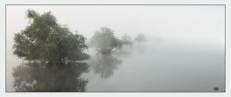 ...FOG...