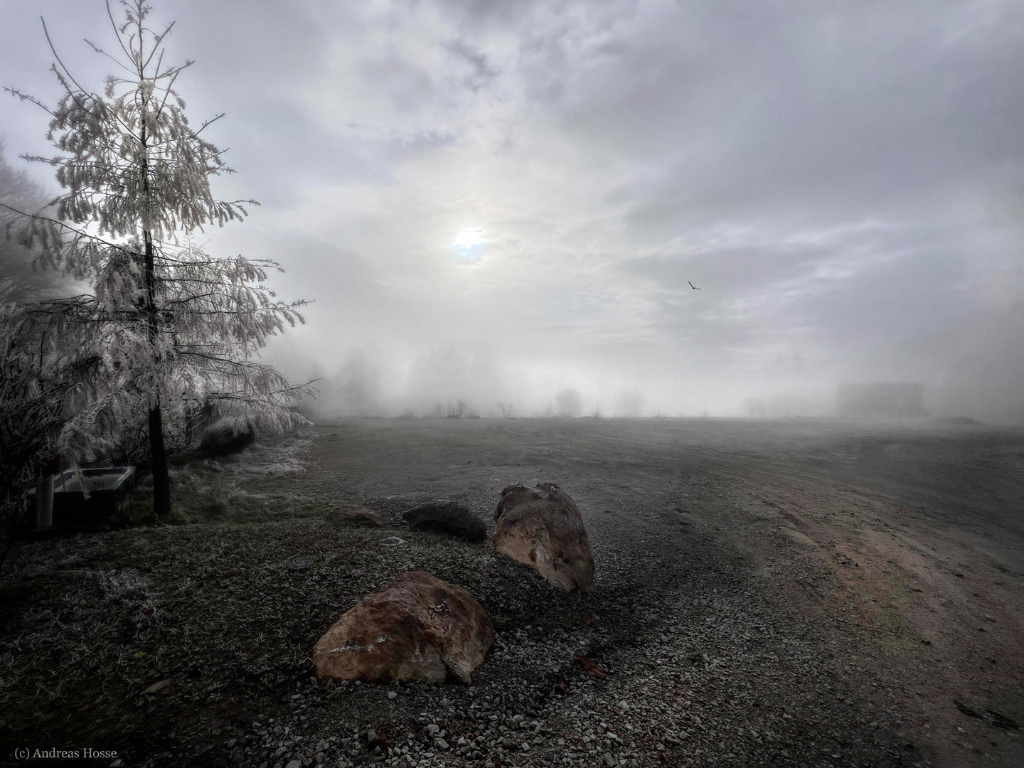 FOG Foto & Bild natur, herbst, landschaft Bilder auf