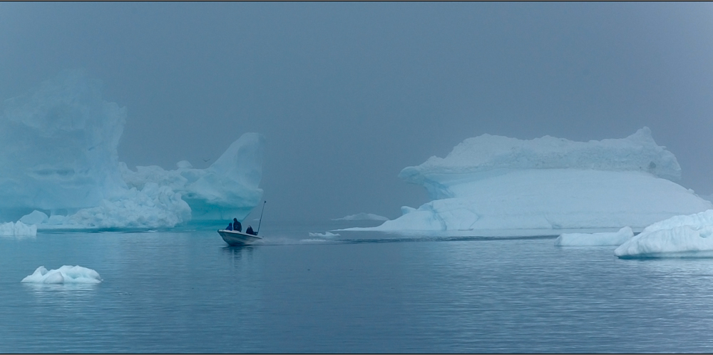 fog among the icebergs . . .