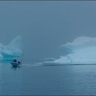 fog among the icebergs . . .