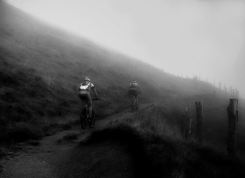 Fog and Bike